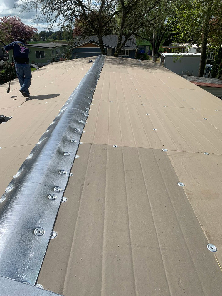 Roof 1