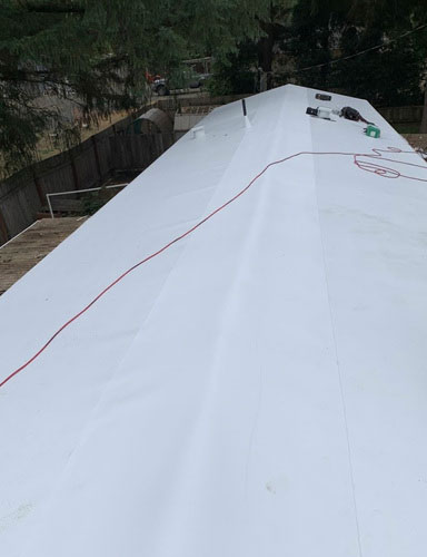 Roof 2